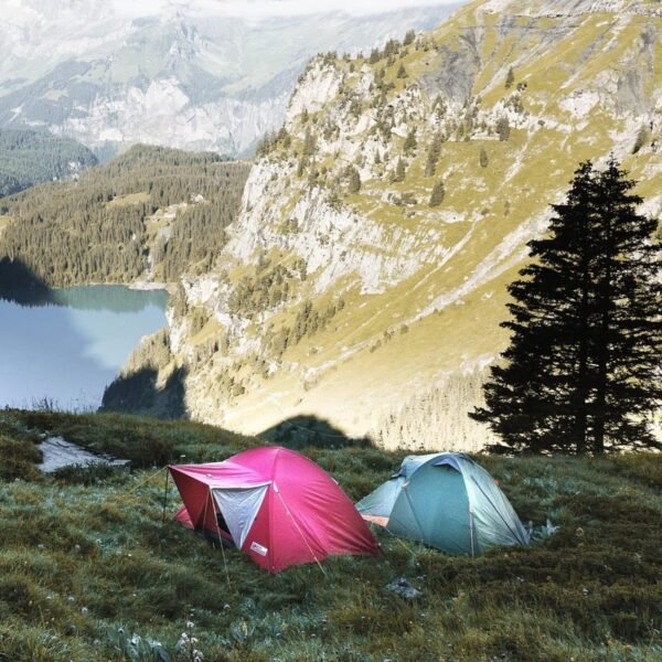 com-four Zeltheringe 24 Stück robuster Stahl für festen Halt bei Camping und Outdoor